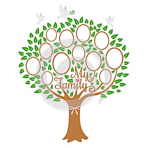 Family tree generation, genealogical tree with photo place