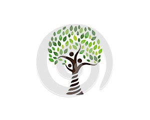 family tree ilustration logo template