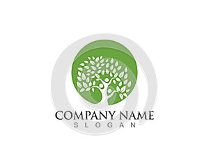 Family Tree Logo Symbol Template