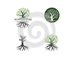 family tree logo template