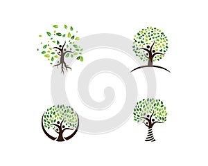 family tree logo template