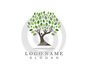 Family Tree Logo template.