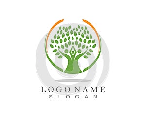 Family Tree Logo template.
