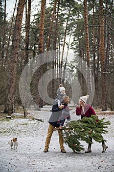 family with a tree in the park