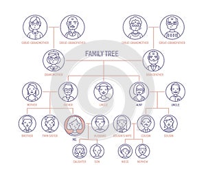 Family tree, pedigree or ancestry chart template with men s and women s portraits in round frames. Representation of