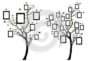 Family tree with photo frames, vector