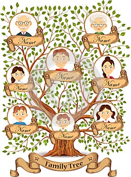 Family tree with portraits of family members vector