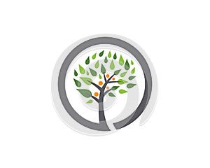 Family tree symbol icon logo design