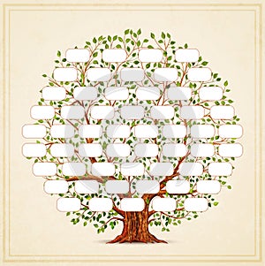 Family Tree template. Genealogy, pedigree. Vintage style for retro design. Vector photo