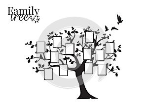 Family Tree Vector with Picture Frame, Wall Decals, Wall Decor, Flying Birds Silhouette on a tree