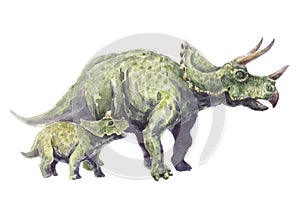 Family triceratops. Mother and child.
