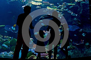 Family with two kids in oceanarium, silhouettes