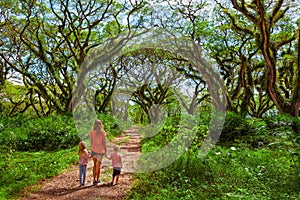 Family under green canopy in ancient forest