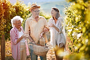 Family in vineyard tasting wine