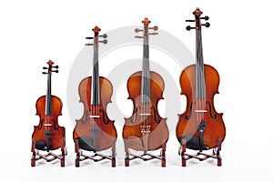 Family of Violins photo