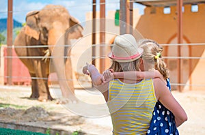 Family visiting zoo.