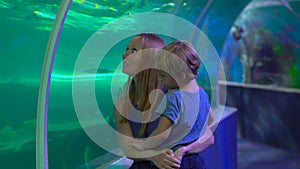 Family visits an oceanarium. Woman and her son walking inside of an aquarium pipe looking at fishes