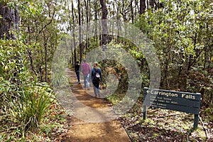 Family walk in Australian rain forest to scenic viewpoint