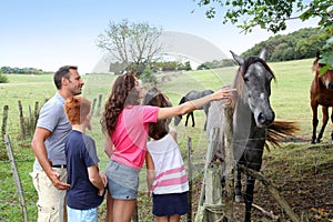 Family walk in country field