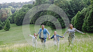 Family on walk in forest, going through meadow. Picking mushrooms, herbs, flowers picking in basket, foraging. Concept