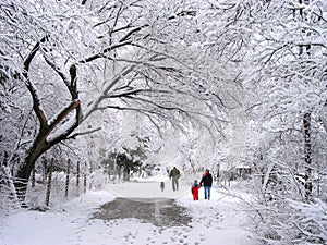 Famiglia a piedi la neve 