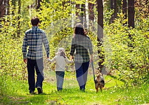 Family walk in the woods