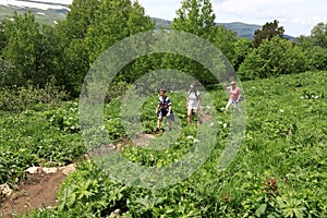 Family walking along path that crosses meadow on Lago-Naki plateau