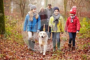 Family Walking Dog Through Winter Woodland photo