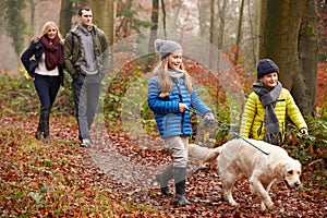 Family Walking Dog Through Winter Woodland photo