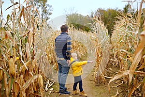 Family walking among the dried corn stalks in a corn maze. Little boy and his father having fun on pumpkin fair at autumn