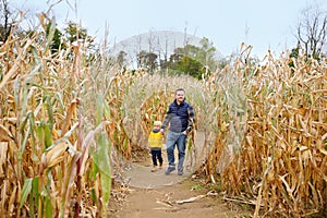 Family walking among the dried corn stalks in a corn maze. Little boy and his father having fun on pumpkin fair at autumn