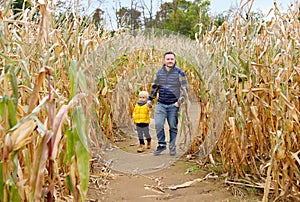 Family walking among the dried corn stalks in a corn maze. Little boy and his father having fun on pumpkin fair at autumn