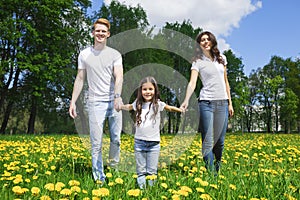 Family walking by flowers in park