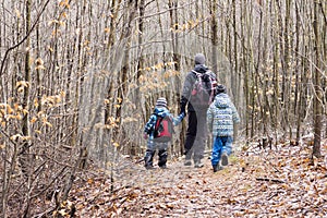Family walking in forest photo