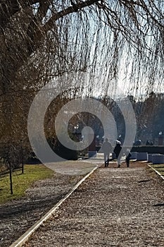 A family walking in Herastrau park during autumn