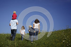 Family walking in meadow, view from behind.