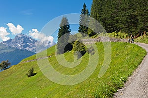 Family walking on mountain path, Swiss, Wiesen