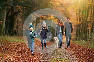 Family Walking With Pet Golden Retriever Dog Along Autumn Woodland Path Together