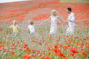 Family walking in poppy field holding hands