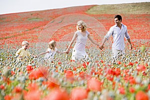 Family walking in poppy field holding hands