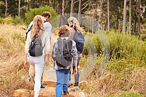 Family walking on a trail into a forest, back view