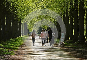 Family walking woods