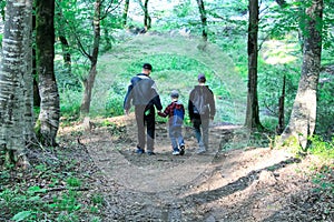 The family walks in the forest. Dad with his sons explore the forest