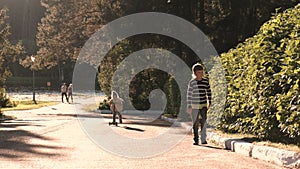 Family walks in the Park by the lake.