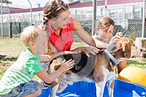 Family washing dog in pool of animal shelter