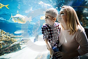 Family watchig fishes at a aquarium