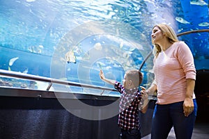 Family watchig fishes at a aquarium