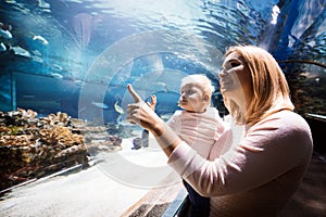 Family watchig fishes at a aquarium