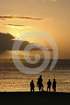 Family Watching Breaching Whale