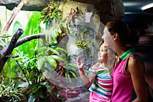 Family watching snake in zoo terrarium photo